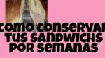 Aprende a conservar tus bocadillos favoritos: cómo congelar sandwiches de miga