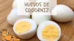 Descubre el tiempo perfecto de cocción para los deliciosos huevos de codorniz