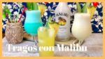 Descubre la combinación perfecta: ¿Con qué se toma el Malibu de coco?