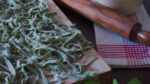 Fideos caseros verdes: aprende cómo hacer receta de espinaca en 5 pasos