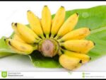 Desvelado el secreto del color banano: ¿Existe o no?