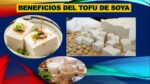 Beneficios nutricionales de los porotos de soja: una fuente saludable de nutrientes