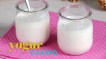 Descubre los beneficios del yogur natural dahi: salud y sabor en uno solo