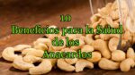 El éxito de los anacardos en Argentina: Cultivo rentable y sostenible