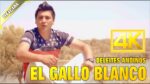 Gallo Blanco: El Sabor Auténtico de México