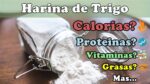 Información nutricional de la harina de trigo: Beneficios y valores