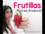 La Información Nutricional de las Frutillas: Beneficios y Valor Nutricional