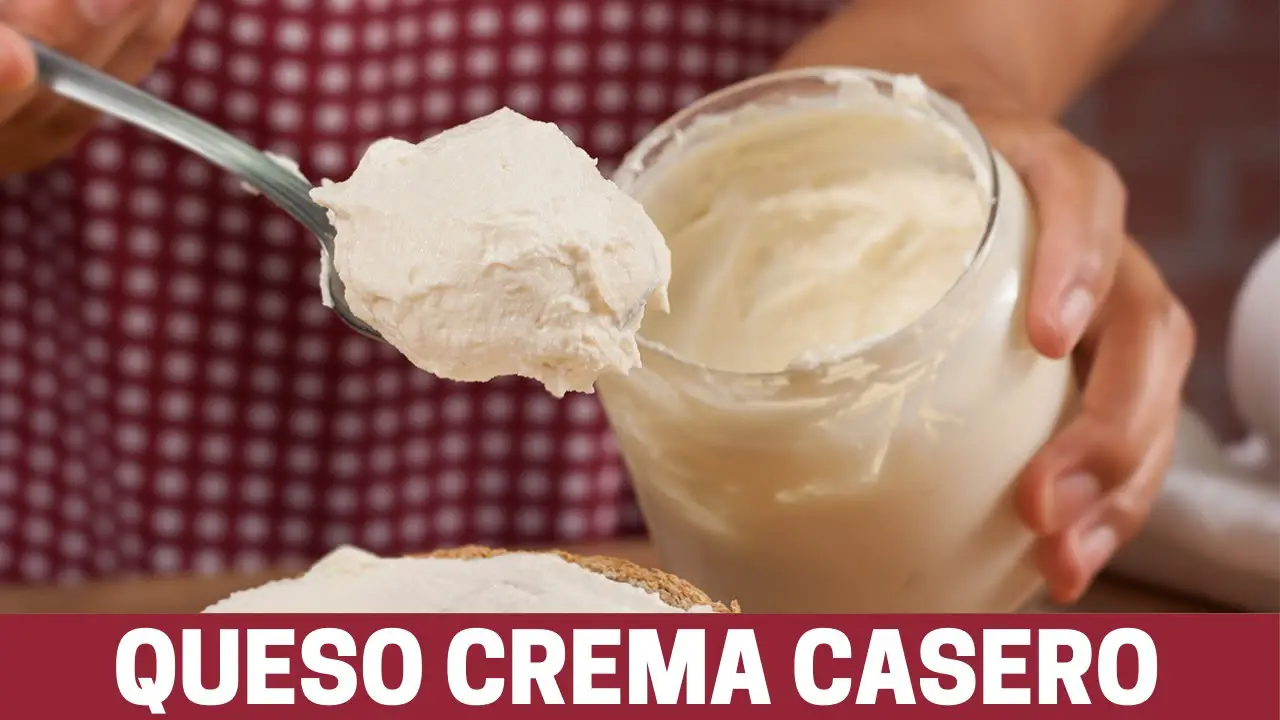 Revelando El Contenido Proteico Del Queso Cremoso ¿cuánta Proteína Tiene Realmente Laganini 7398